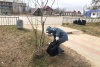 Всероссийский субботник