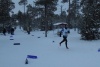 Чемпионат и Первенство России по северному многоборью, Ноябрьск-2015