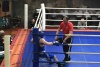 Первенство СЗФО по боксу среди юниоров, г. Череповец, 17-22 мая 2016 г.