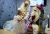 Новый год 2016
