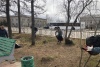 Всероссийский субботник