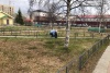 Всероссийский субботник
